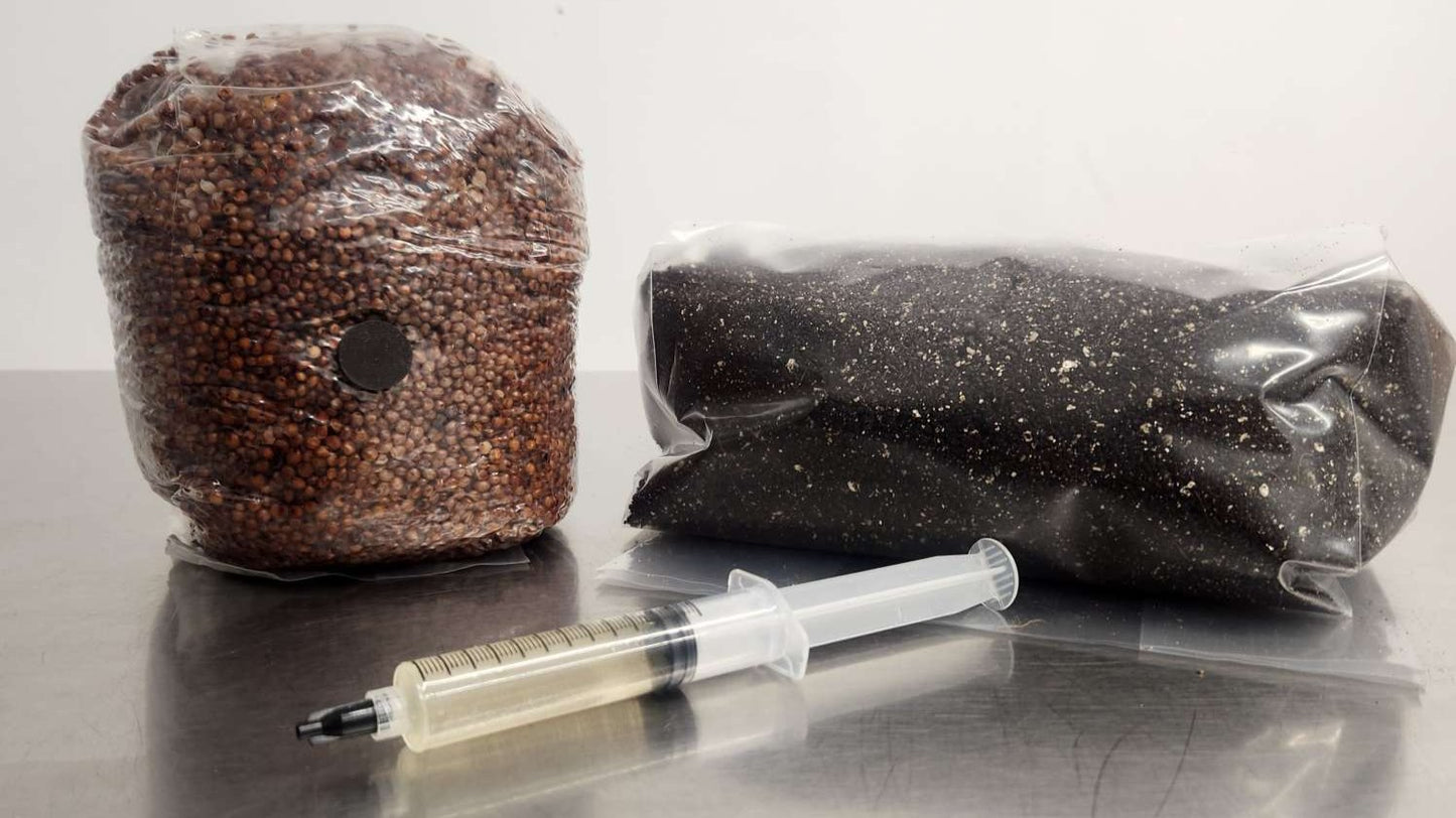 Armadillo Myco Supply mushroom grow kit components: 2.5 lb millet bag, 2.5 lb CVG mix bag, and liquid culture syringe