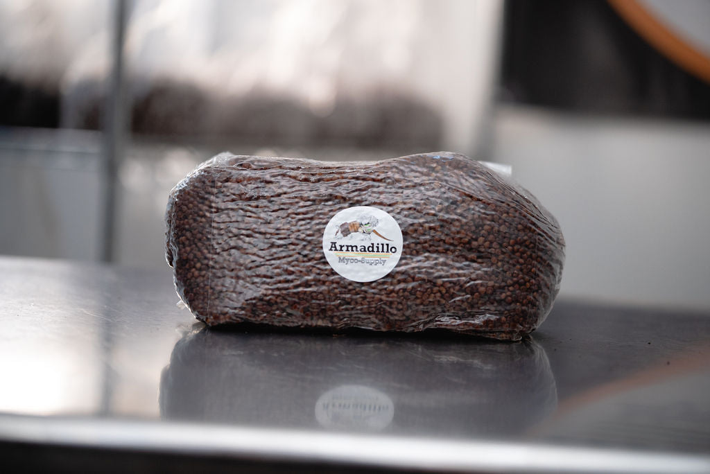 5-lb sterilized milo grain bag with 0.2µm filter patch — Armadillo Myco Supply