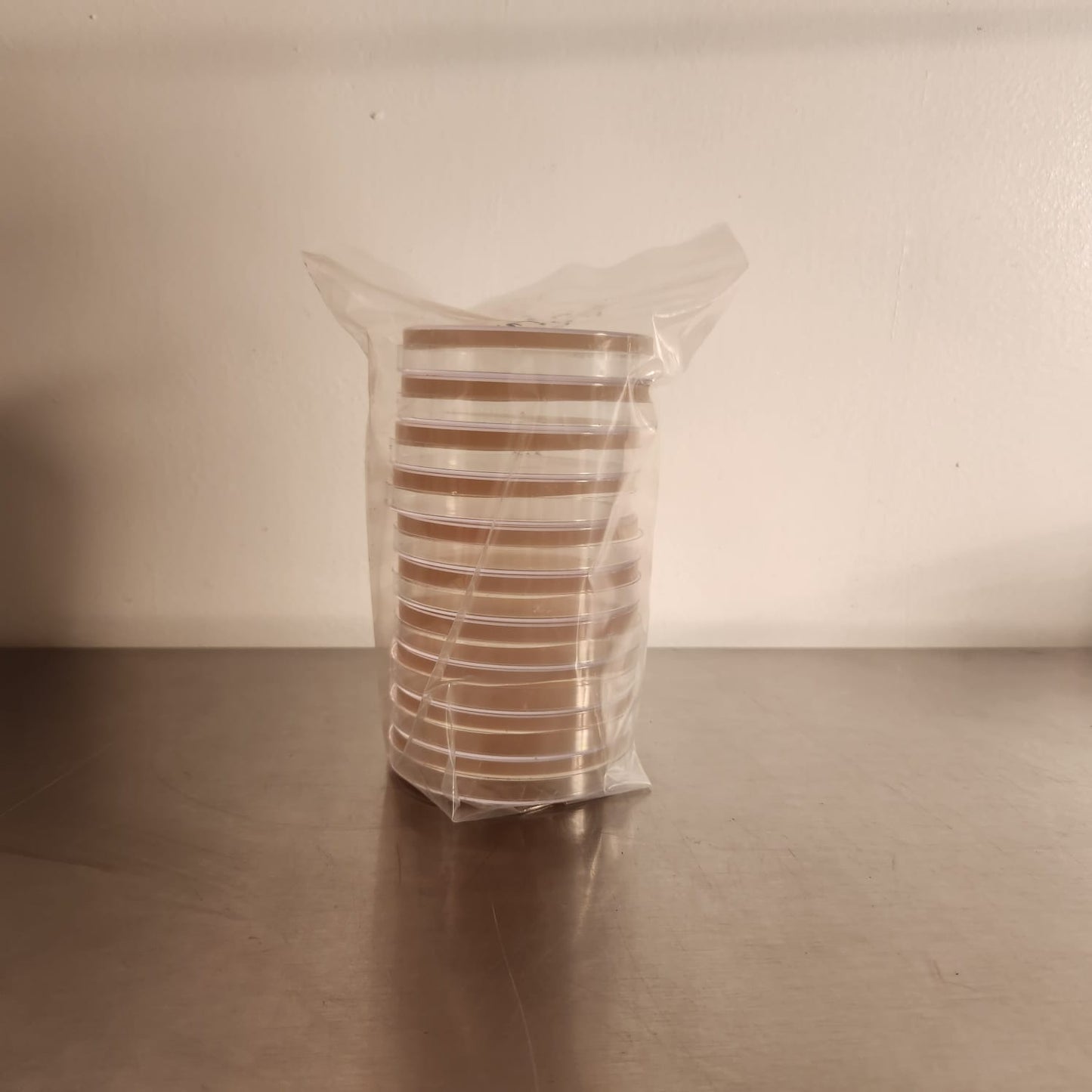 MEA Agar Plates - 10 Pack