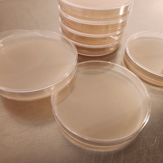 MEA Agar Plates - 10 Pack